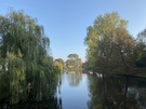 Fotosamples daglichtsituaties Pixel 4, iPhone 11 Pro Max, P30 Pro, Pixel 3