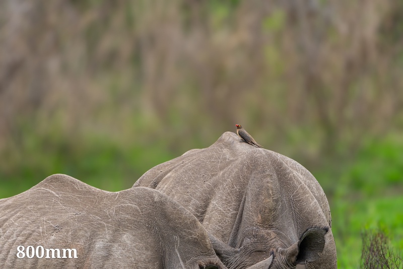 Afbeeldingslocatie: https://tweakers.net/i/I7AActDo8mv_7oQ4hvddCzrqZe4=/800x/filters:strip_icc():strip_exif()/f/image/dNVloggCxS1XUKIK9inQdFDV.jpg?f=fotoalbum_large