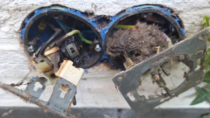 Afbeeldingslocatie: https://tweakers.net/i/I8H5En1eC8OixPJSo60n0Og1xCY=/800x/filters:strip_icc():strip_exif()/f/image/tiVeaSLVJc1A5n63Ogjy5Al2.jpg?f=fotoalbum_large