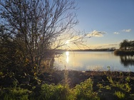 OnePlus 15 cameratest - Hoofdcamera overdag