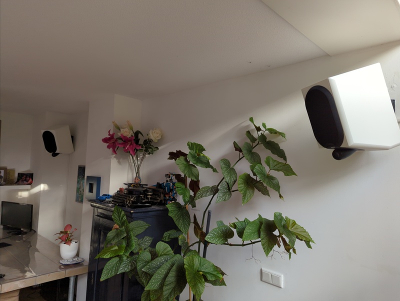 Afbeeldingslocatie: https://tweakers.net/i/IEtIDffCf0Oz55cXqI0zCo63r_c=/800x/filters:strip_icc():strip_exif()/f/image/mmzPskMO5cM2ZAz8CcI5fCyu.jpg?f=fotoalbum_large