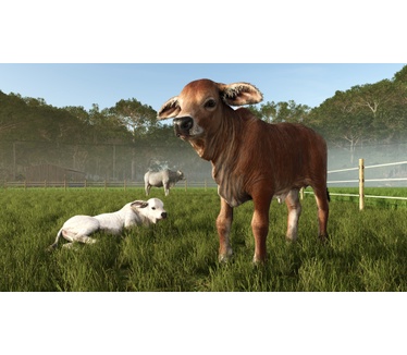 Farming Simulator 25: Beans & Alpacas Edition