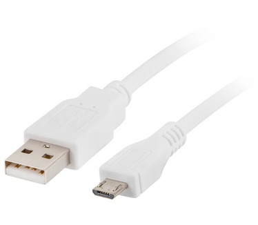 Lanberg CA-USBM-10CC-0030-W