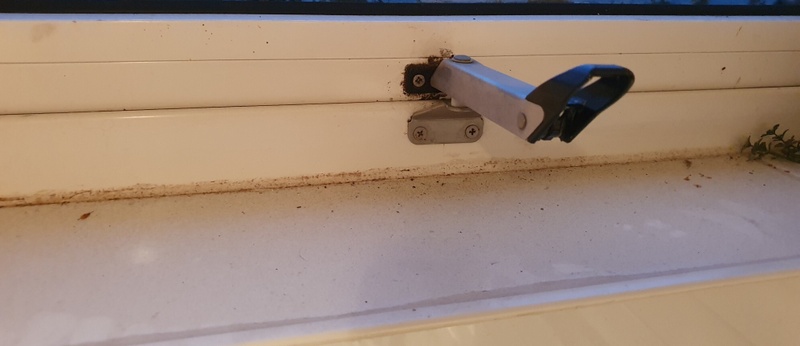 Afbeeldingslocatie: https://tweakers.net/i/IIWIcpeepVp76lm_KFO7ueqkl1w=/800x/filters:strip_icc():strip_exif()/f/image/0WRd9cBQxZ23E5tc6ayKd43Z.jpg?f=fotoalbum_large