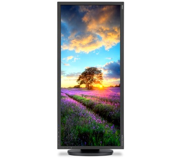 NEC MultiSync EA294WMi Zwart