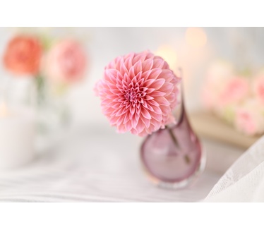 Canon RF 85mm F1.4L VCM