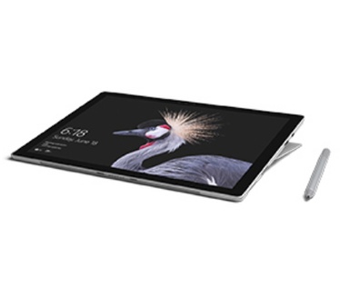 Microsoft Pro - 256GB_i5_8GB+STC BUR QWNL