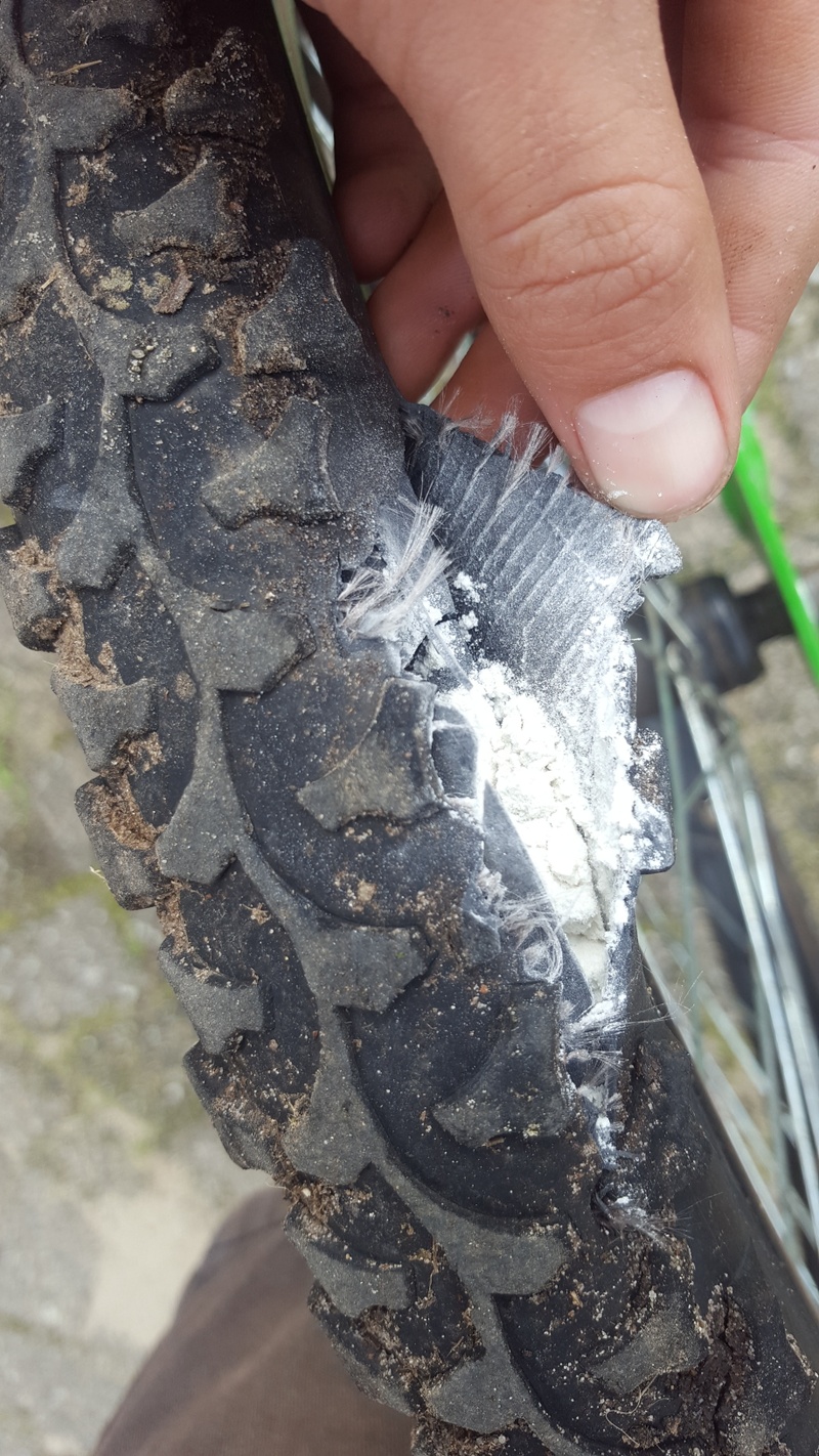 Afbeeldingslocatie: https://tweakers.net/i/IP3aHYKlftD-T9xx3NQrTR02UUc=/800x/filters:strip_icc():strip_exif()/f/image/7hFnODvRRDPvtB0tYe8fZ0qo.jpg?f=fotoalbum_large