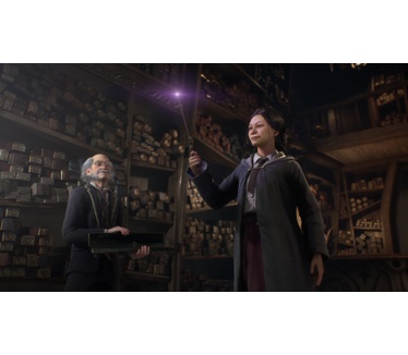 Hogwarts Legacy - Deluxe Edition (Xbox Series X)