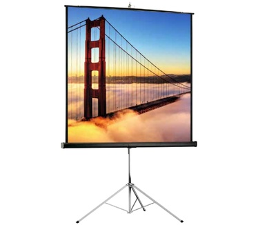 Projecta Picture King, 132.7"