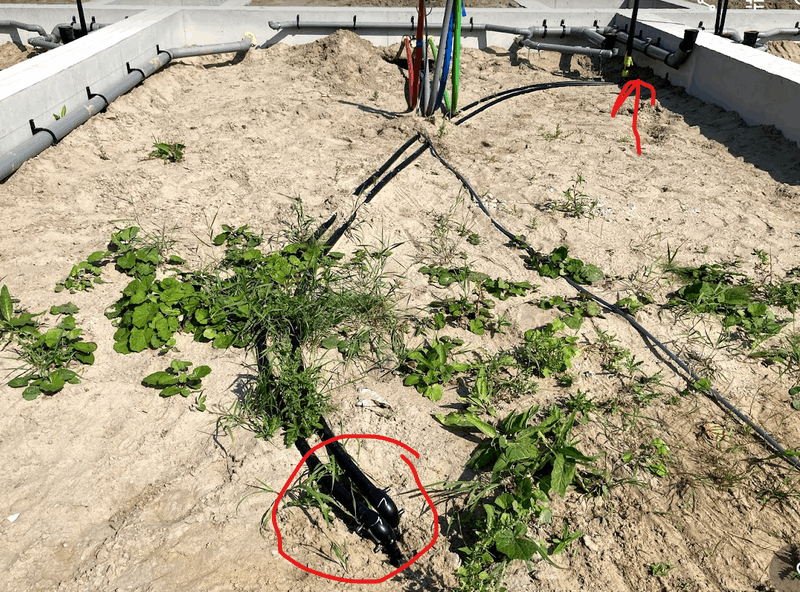 Afbeeldingslocatie: https://tweakers.net/i/IUUFuEqQPIY7JpJUd41zWRmNRvM=/800x/filters:strip_exif()/f/image/2waDb4bFiCTNgI1Ft9xcdjZK.png?f=fotoalbum_large