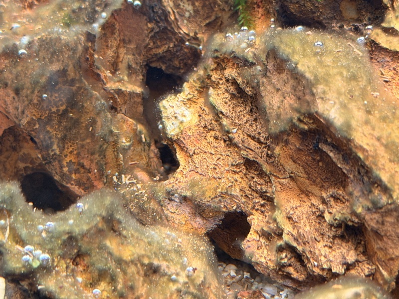 Afbeeldingslocatie: https://tweakers.net/i/IVtgAeQDii8SlqaQzHVl1HtcZKM=/800x/filters:strip_icc():strip_exif()/f/image/tg7FB4GCnv2925jGFGoOFP0g.jpg?f=fotoalbum_large