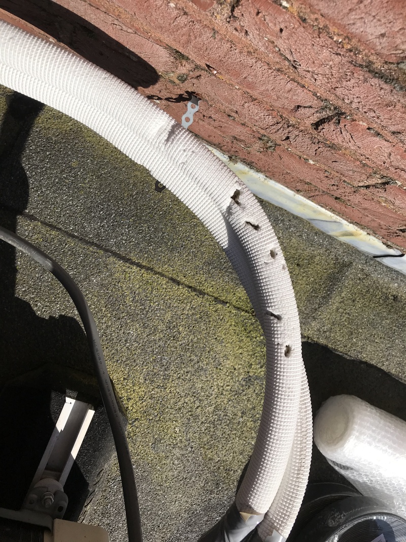 Afbeeldingslocatie: https://tweakers.net/i/IYc0YR_uJyf9mY3fw_HxM5J-lLI=/800x/filters:strip_icc():strip_exif()/f/image/DyxE36hl13Gbnq0kKBtdAsms.jpg?f=fotoalbum_large