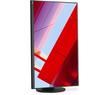 NEC E243F