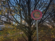 OnePlus 15 cameratest - Primair nachtmodus