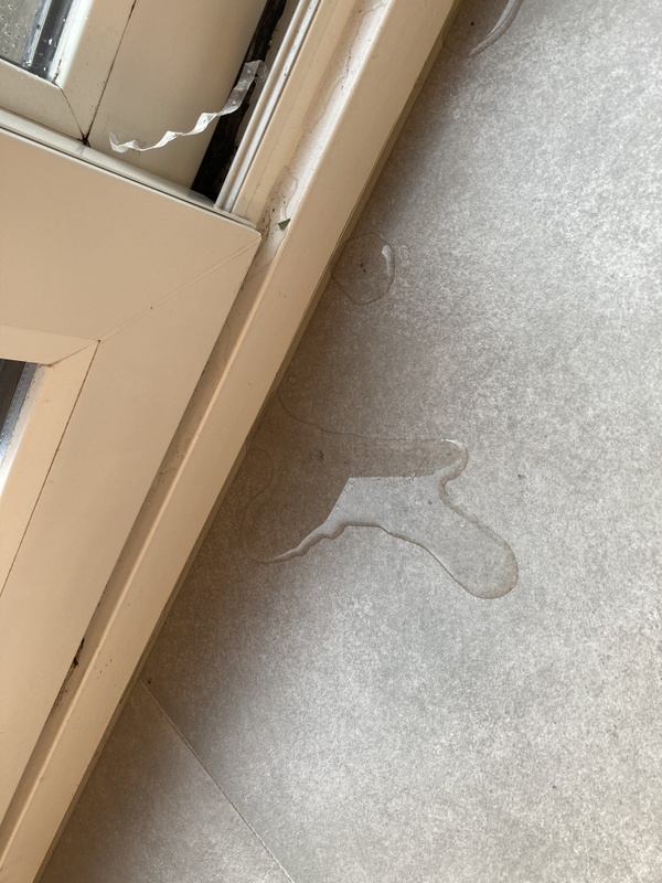 Afbeeldingslocatie: https://tweakers.net/i/Ie3FCAyMsbprBDlb4BFXLTRBkN8=/x800/filters:strip_icc():strip_exif()/f/image/aEh4dPFpb3PXysoBYuBuk6Ng.jpg?f=fotoalbum_large