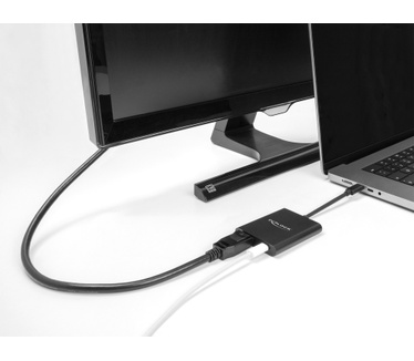 Delock USB Type-C Adapter zu DisplayPort
