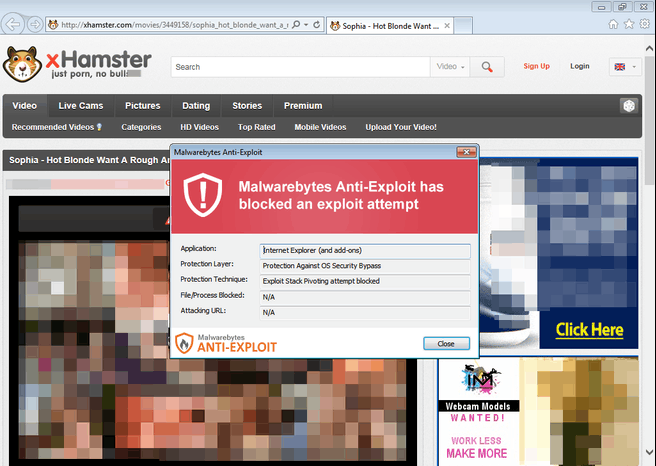 XHamster