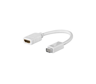 Wentronic Mini DVI Adapter