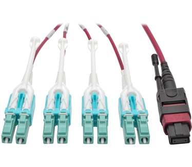 Tripp-Lite N845-01M-8L-MG