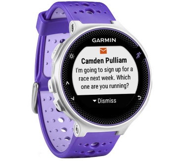 Garmin Forerunner 230 Paars (Paars)