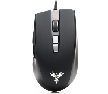 Feenix vitesse