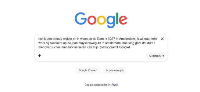 Anonimiseren van Google-zoekopdrachten