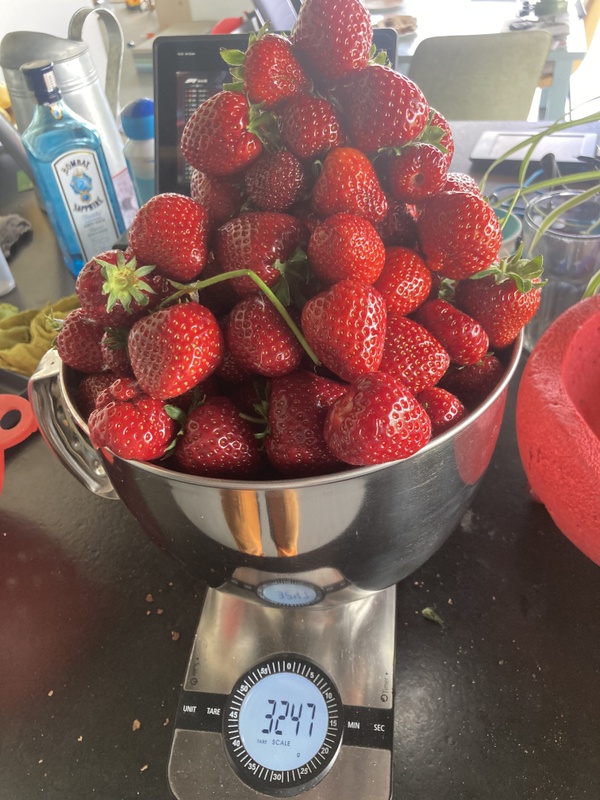 Afbeeldingslocatie: https://tweakers.net/i/IordkFszWELDeRghIsqMeRhWwjI=/x800/filters:strip_icc():strip_exif()/f/image/IgZzi9ZGap2Kcr1Ahg8evALN.jpg?f=fotoalbum_large