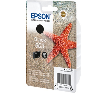 Epson Singlepack Black 603 Ink