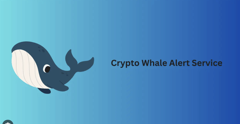 Afbeeldingslocatie: https://tweakers.net/i/IrZ2Xv_4lrSkRtxRERI87P5r1vE=/800x/filters:strip_exif()/f/image/zEwia4oZ97Poq0gPH5Q8SF1Z.png?f=fotoalbum_large