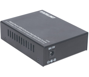 Intellinet 545068