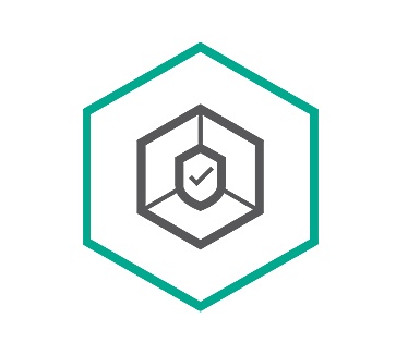 Kaspersky Lab Small Office Security