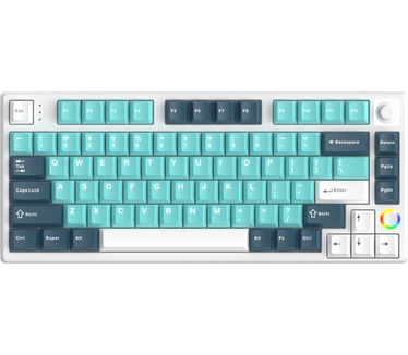 Helloganss HelloG HS75T Wh/Bl Gat Yellow RGB WL US