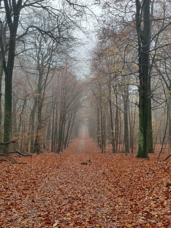 Afbeeldingslocatie: https://tweakers.net/i/IvVfVtvyzfHm3XYNo-yOYcayxgU=/x800/filters:strip_icc():strip_exif()/f/image/K0Ov1xgmV8jJgmRoWR7HZolD.jpg?f=fotoalbum_large