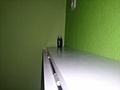 Foto gemaakt met Sony Xperia Z voor shootout S4/XperiaZ/One