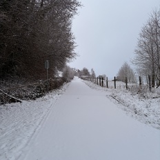 Afbeeldingslocatie: https://tweakers.net/i/IybcJbT8jIoWSwno3wQxR9rkGz4=/232x232/filters:strip_icc():strip_exif()/f/image/ErT3OO4pcRiiiMCqatoR0XPC.jpg?f=fotoalbum_tile