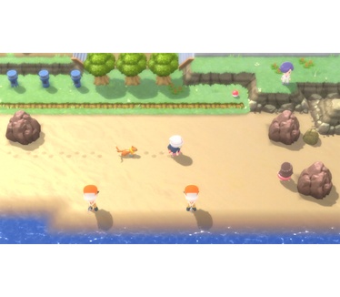Pokémon Shining Pearl, Switch
