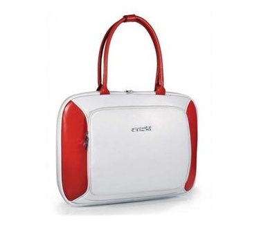 Sushi Fashion Ladies Case