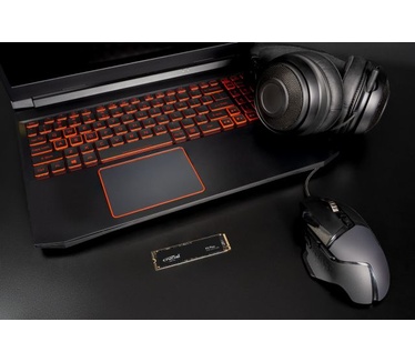 Crucial P3 Plus