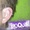 avatar van iroQuai