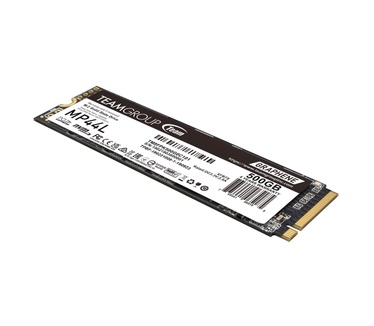 Team Group MP44L 500GB
