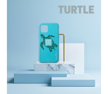 Wilma Turtle