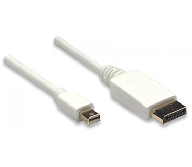 Techly Monitor DisplayPort to Mini Displayport cable (Thunderbolt) M / M 2 m ICOC MDP-020