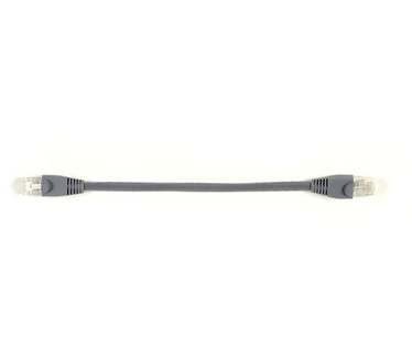 Black Box 6" CAT6