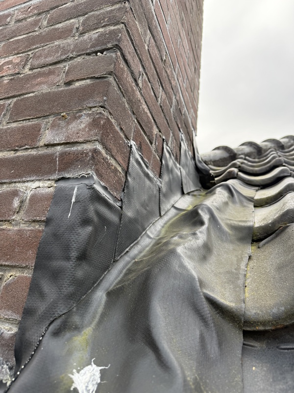 Afbeeldingslocatie: https://tweakers.net/i/J9eJ9jdpauduy-5xAKF-EVKr63c=/x800/filters:strip_icc():strip_exif()/f/image/sw7zPobKFUD2XZHMmNbDbtsS.jpg?f=fotoalbum_large