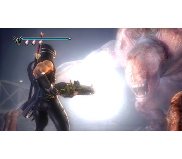 Ninja Gaiden Sigma II