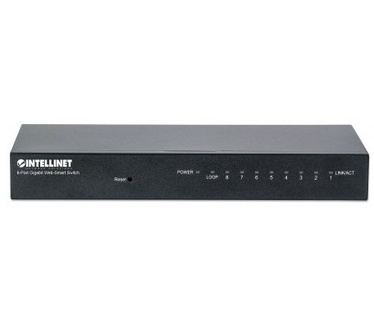 Intellinet 561099