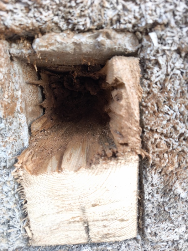 Afbeeldingslocatie: https://tweakers.net/i/JD-YZOVuMmDOhfJHL3zMKkYz49s=/x800/filters:strip_icc():strip_exif()/f/image/rzZWZ4gmYWxmhX0LqVhDd2cn.jpg?f=fotoalbum_large