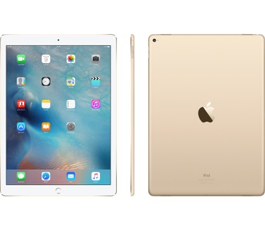 Apple Pro