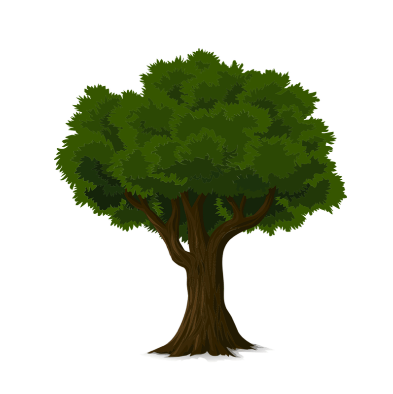 Afbeeldingslocatie: https://tweakers.net/i/JIMfsv4A2qoNpOLYIT5r9cdR314=/x800/filters:strip_exif()/f/image/rvDHUgheJPrQI11zn6dghmFW.png?f=fotoalbum_large